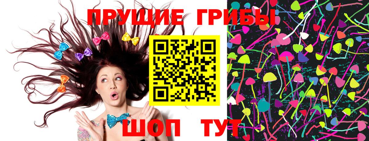 Псилоцибиновые грибы Cubensis  Галлюциногенные грибы Psilocybe  Кимры  Вход с VPN 
