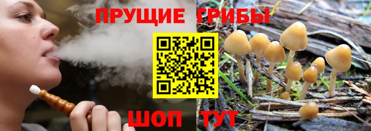 Галлюциногенные грибы GOLDEN TEACHER Кимры